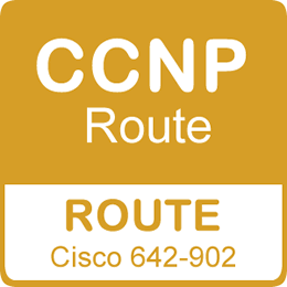 CCNP Routing Training