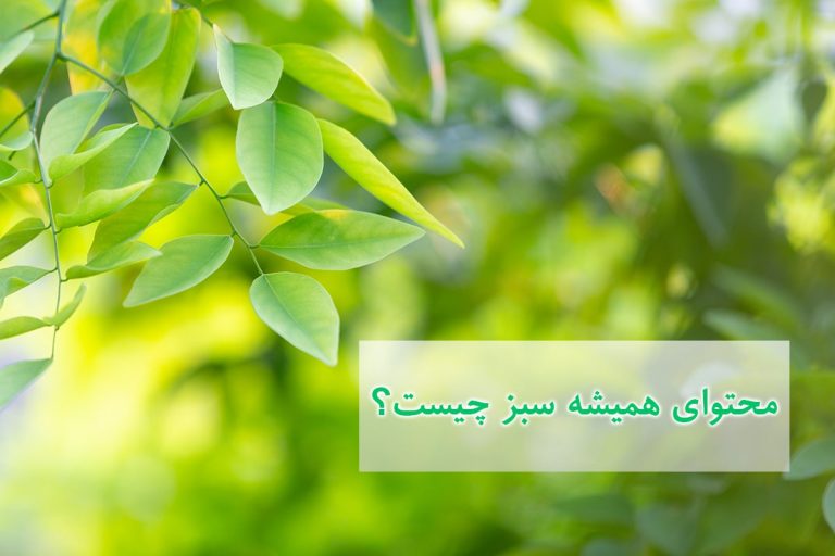 محتوای همیشه سبز چیست