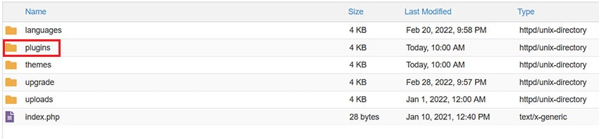 WordPress Plugins Folder